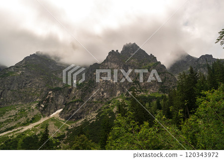 Mountain landscape, dark spruce forest in cloudy weather. High Tatras mountains of Tatra national park 120343972