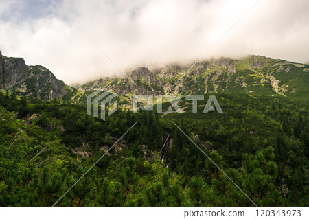 Mountain landscape, dark spruce forest in cloudy weather. High Tatras mountains of Tatra national park Mountain landscape, dark spruce forest in cloudy weather. High Tatras mountains of Tatra national park 120343973