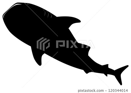 Whale shark 120344014