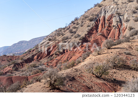 Morocco semi-deserts and mountains, north africa nature, Moroccan stone desert, red hills, villages and argan trees Morocco semi-deserts and mountains, north africa nature, Moroccan stone desert, red hills, villages and argan trees 120344123