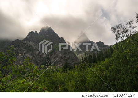 Mountain landscape, dark spruce forest in cloudy weather. High Tatras mountains of Tatra national park Mountain landscape, dark spruce forest in cloudy weather. High Tatras mountains of Tatra national park 120344127