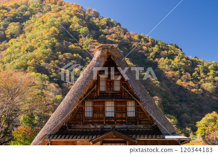 《富山縣》黃葉Su沼合掌祖里村,日本原始風光 《富山縣》黃葉Su沼合掌祖里村,日本原始風光 120344183