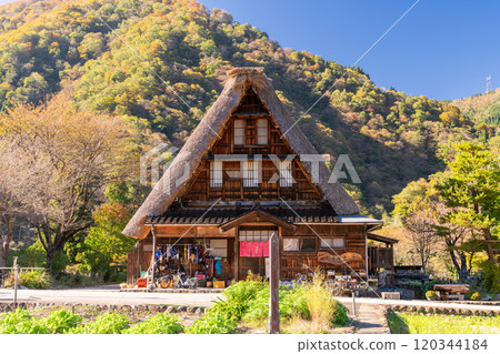 《富山縣》黃葉Su沼合掌祖里村，日本原始風光 120344184