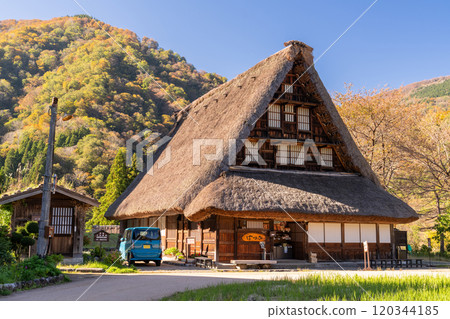 《Toyama Prefecture》 Yellow leaves Suganuma Gassho-zukuri village, original scenery of Japan 120344185