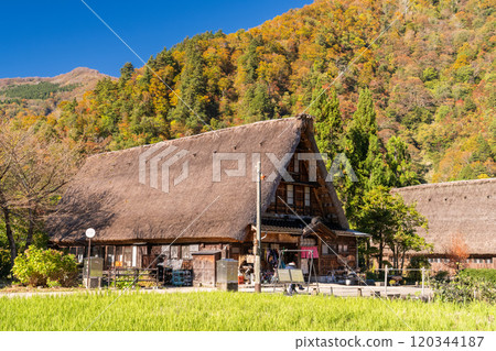 《富山縣》黃葉Su沼合掌祖里村，日本原始風光 120344187