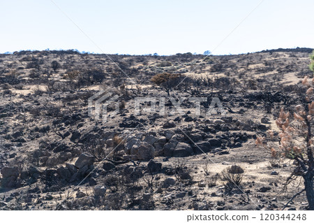 Lava Fields, Pumice Volcano Stones Texture, Volcanic Pumice Pattern, Pieces of Lava, Basalt Extrusive Igneous Rock 120344248