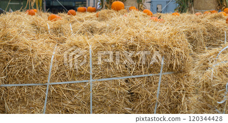 Hay Texture Background, Straw Pattern, Dry Golden Grass Mockup, Dry Baled Hay Bales Stacks Banner Hay Texture Background, Straw Pattern, Dry Golden Grass Mockup, Dry Baled Hay Bales Stacks Banner 120344428