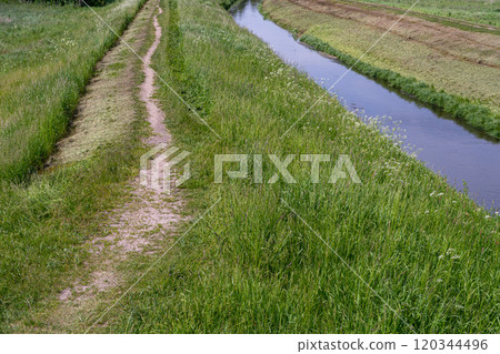 Underwater Grass, Long Seaweed in Dark River Water, Overgrown Stream with Algae, Grass Waving in Water 120344496
