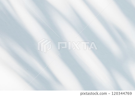 Abstract natural tree leaves shadow on white wall background Abstract natural tree leaves shadow on white wall background 120344769