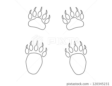 Bear or panda paw footprints with claws. Contour. 4 paws. Black vector illustration isolated on white. Grizzly wild animal paw print icon and symbol. Print, textile, postcard, booklet, pet store. 120345231