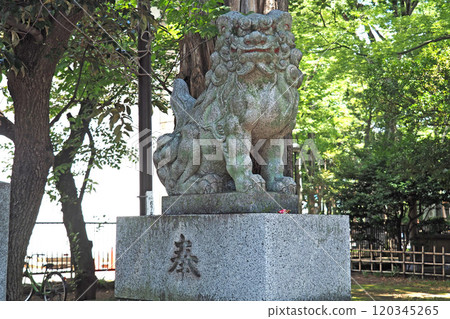 大國玉神社的守護犬【東京都府中市】 120345265
