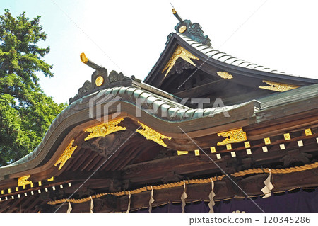 The worship hall at Okunitama Shrine [Fuchu, Tokyo] 120345286