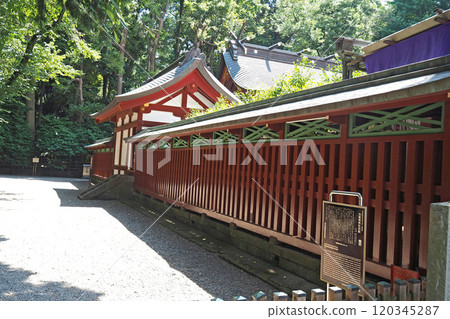 The lattice fence surrounding the main hall of Okunitama Shrine [Fuchu, Tokyo] 120345287