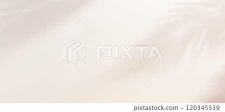 A soft, white surface with light illuminating it from the top right corner. 120345539