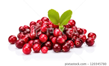 Cranberry close up on a white background. Fresh ripe red berries. A healthy fruit full of vitamins and antioxidants. Perfect for food and drink related content, culinary and food blog. Cranberry close up on a white background. Fresh ripe red berries. A healthy fruit full of vitamins and antioxidants. Perfect for food and drink related content, culinary and food blog. 120345780