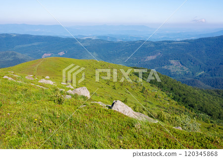 summer landscape in mountains. nature background. sunny morning. smooth highlands of carpathian range in ukraine. grassy slopes with stones. beautiful view in to the distance. countryside valley 120345868