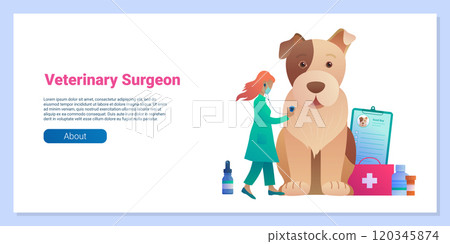 Veterinary surgeon banner in cartoon style. Veterinary surgeon banner in cartoon style. 120345874