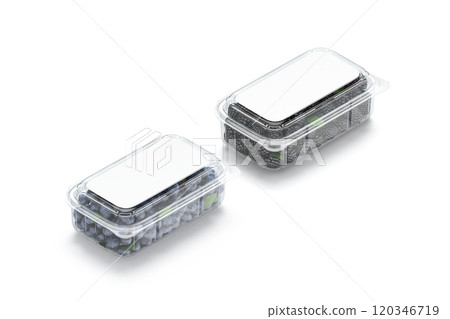 Blank transparent plastic box with blueberry and blackberry mockup Blank transparent plastic box with blueberry and blackberry mockup 120346719
