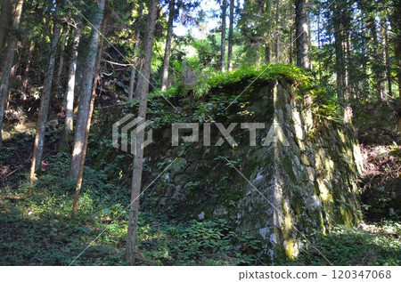 Iwamura Castle Ruins, Tatami Bridge Remains 120347068