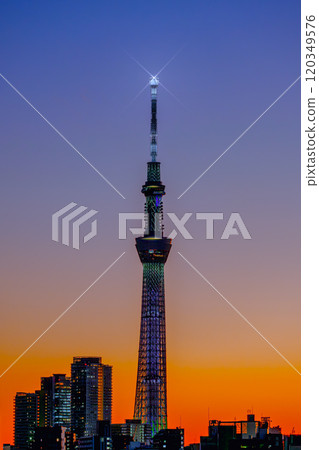 Sunset and Sky Tree Sunset and Sky Tree 120349576