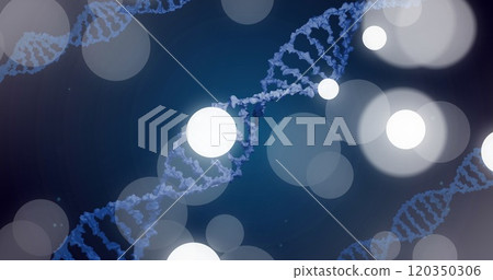 Image of dna strand and spots of light on dark background 120350306