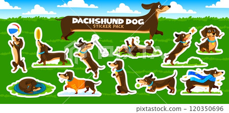 Dachshund dog stickers pack of cute puppy pet animals playing on playground green grass vector background. Cartoon funny black brown dachshund dogs playing with ball, bone, wood stick and frisbee toys 120350696