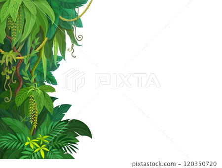 Tropical jungle forest lianas background with vector border of cartoon tree branches, vines and green leaves. Rainforest jungle climbing plant lianas, creeper vines and tendrils border frame line 120350720