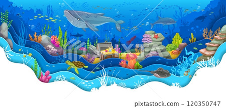 Paper cut underwater landscape with treasure chest and whale. Cartoon sea animals and fish schools, dolphin, sea turtle and squid on vector background of underwater landscape with 3d paper cut border Paper cut underwater landscape with treasure chest and whale. Cartoon sea animals and fish schools, dolphin, sea turtle and squid on vector background of underwater landscape with 3d paper cut border 120350747