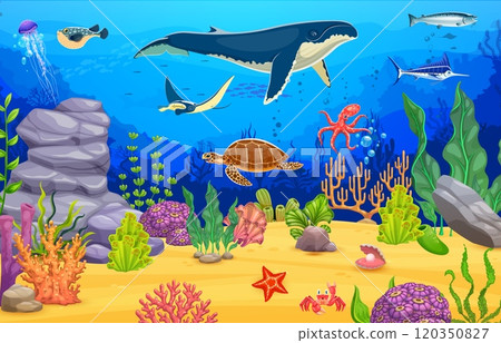 Cartoon sea animals at underwater landscape. Vector marine scene with giant whale and manta ray, octopus, jellyfish, turtle and fish swimming among vibrant coral reefs, rocks and plants on ocean floor Cartoon sea animals at underwater landscape. Vector marine scene with giant whale and manta ray, octopus, jellyfish, turtle and fish swimming among vibrant coral reefs, rocks and plants on ocean floor 120350827