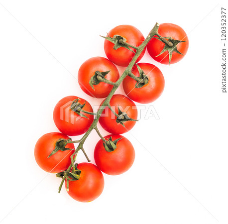 ripe tomatoes on a branch ripe tomatoes on a branch 120352377