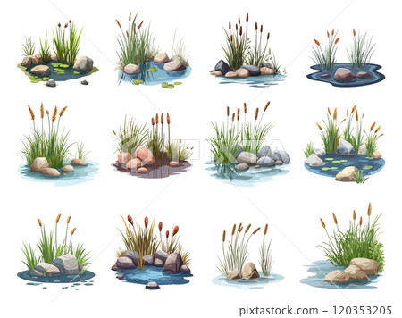 Water pond with reeds and stones on the edges set. Grass in the rocks marsh tails lake cattail green reed plants growing in the swamp. Decorative pond in landscape design elements. Cartoon style 120353205