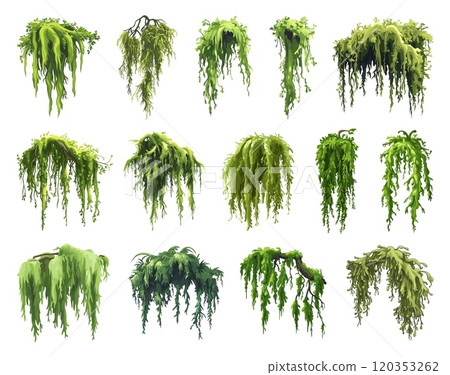 Green jungle moss set. Marsh forest plant. Creeping grouth lichen hanging on the tree brunches. Botanical exotic nature design element for game apps decoration. Cartoon style isolated vector clipart 120353262
