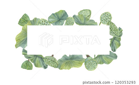 Watercolor lotus leaves with flower pods horizontal border. Hand drawn green water lily foliage, seed heads illustration for invitation, ayurveda products, spa center label, greeting cards 120353293