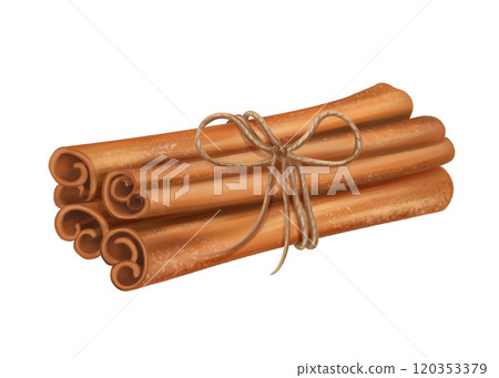 A bunch of fragrant cinnamon sticks tied with a jute rope. Spices for delicious food and drinks. Cozy handmade decor from recyclable materials, eco toy for a Christmas tree. Isolated illustration A bunch of fragrant cinnamon sticks tied with a jute rope. Spices for delicious food and drinks. Cozy handmade decor from recyclable materials, eco toy for a Christmas tree. Isolated illustration 120353379