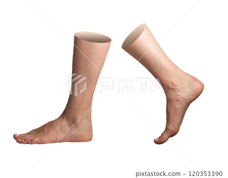 Bare foot and leg, isolated on a white background. Smooth, clean skin symbolizing health, beauty, Bare foot and leg, isolated on a white background. Smooth, clean skin symbolizing health, beauty, 120353390
