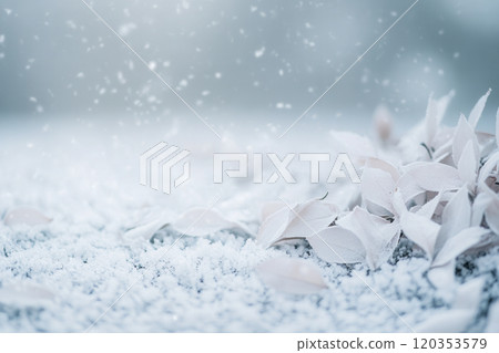 Snowfall covers fallen leaves on a chilly winter day, creating a serene and peaceful landscape in a quiet natural setting Snowfall covers fallen leaves on a chilly winter day, creating a serene and peaceful landscape in a quiet natural setting 120353579