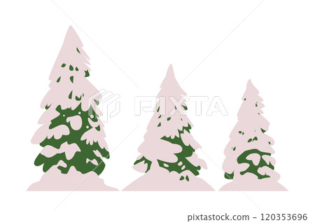 Snow-covered pine trees winter landscape green foliage minimal design white background 120353696