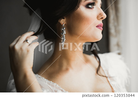 Portrait of a beautiful fashion bride, sweet and sensual. Wedding make up and hair Portrait of a beautiful fashion bride, sweet and sensual. Wedding make up and hair 120353844