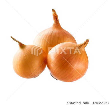 Onion bulbs isolated. Whole yellow onion bulb on a white background. Full depth of field. Onion bulbs isolated. Whole yellow onion bulb on a white background. Full depth of field. 120354047