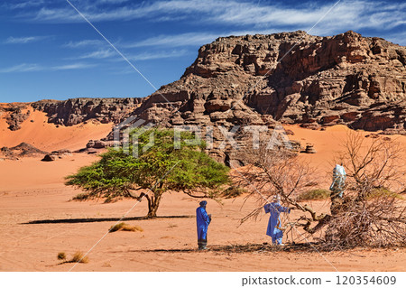 Landscape of Sahara Desert in Algeria with rocks and sand dunes 120354609