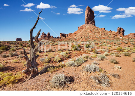 Valley of the Gods in Utah, USA Valley of the Gods in Utah, USA 120354616