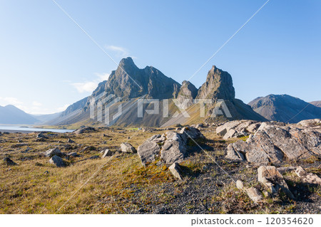 Hvalnes lava beach landscape, east Iceland landmark 120354620