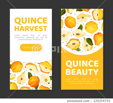 Quince Fruit Banner Design with Ripe Crop Vector Template 120354735