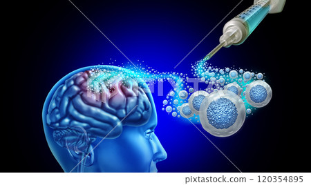 Neural Stem Cell Therapy 120354895