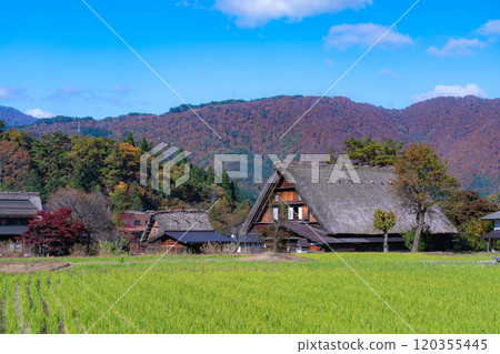 [World Heritage Site] Shirakawa-go in full autumn color [Gifu Prefecture] 120355445