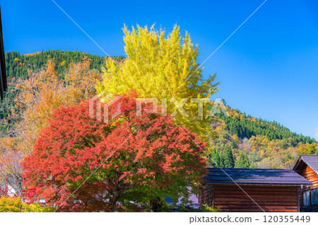[World Heritage Site] Shirakawa-go in full autumn color [Gifu Prefecture] 120355449