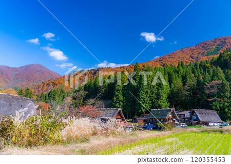 [World Heritage Site] Shirakawa-go in full autumn color [Gifu Prefecture] 120355453