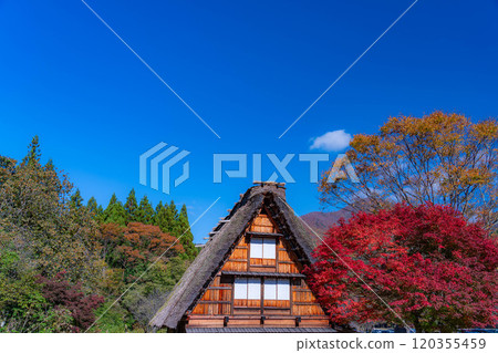 [World Heritage Site] Shirakawa-go in full autumn color [Gifu Prefecture] 120355459