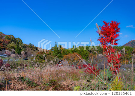 [World Heritage Site] Shirakawa-go in full autumn color [Gifu Prefecture] 120355461