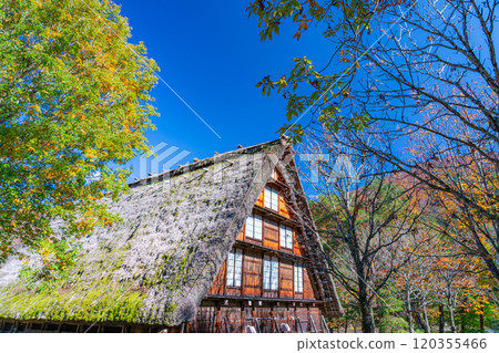 [World Heritage Site] Shirakawa-go in full autumn color [Gifu Prefecture] 120355466